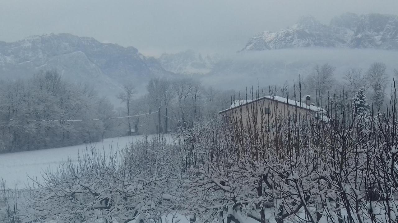 Casa 1885 Bed & Breakfast Belluno Eksteriør bilde